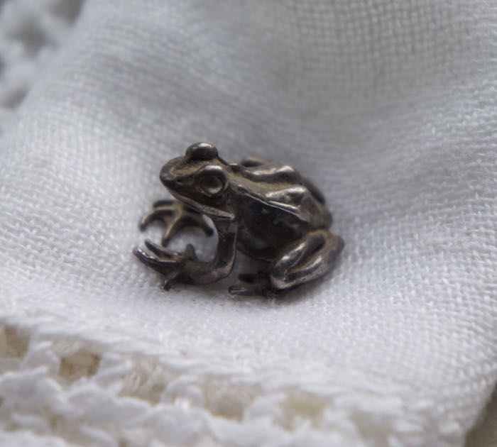 Silver_Frog
