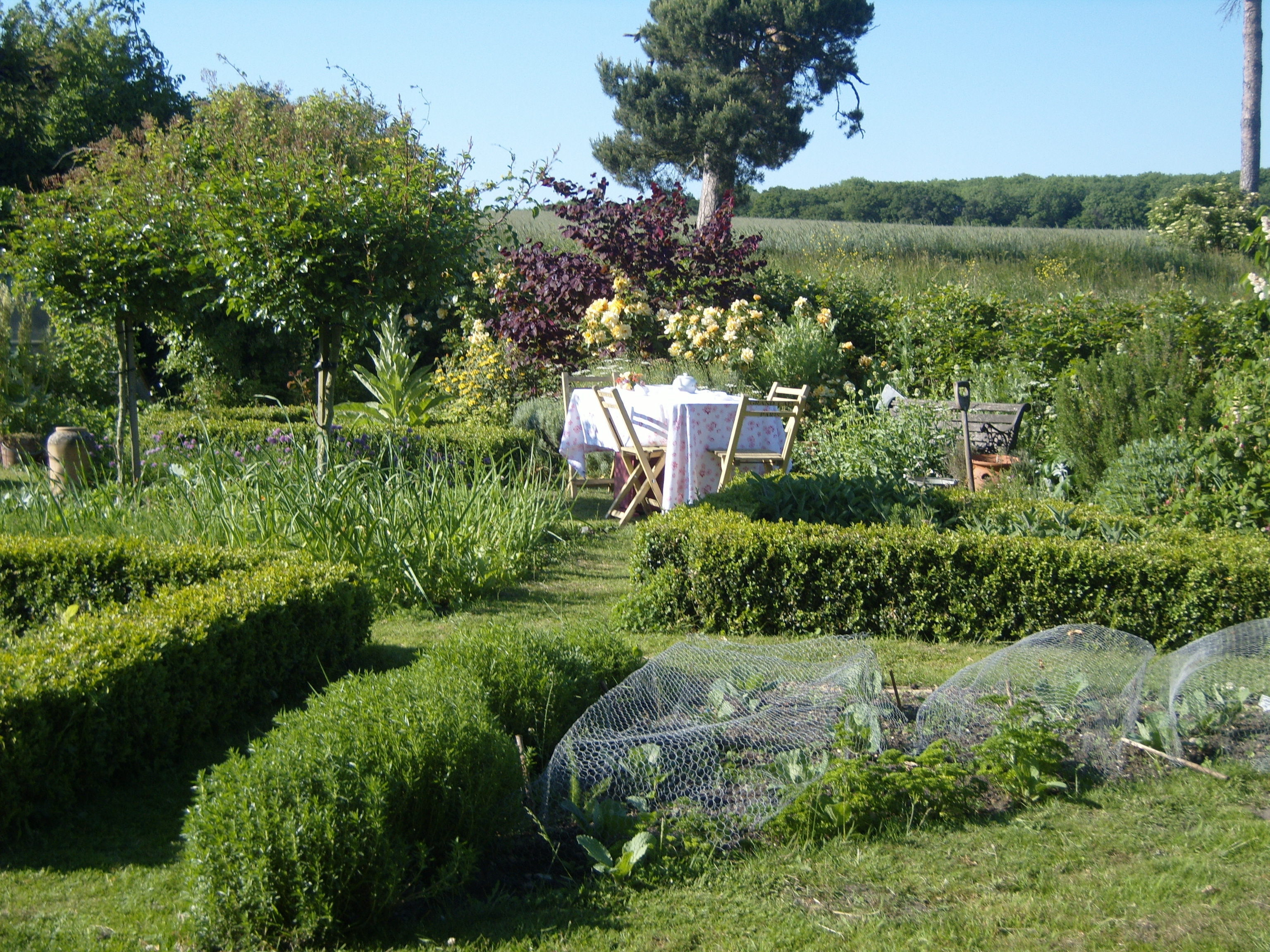 Suffolk cottage garden